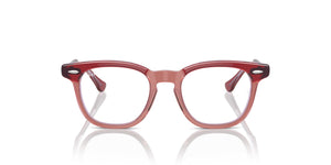RAY-BAN JUNIOR RY9098V 3960