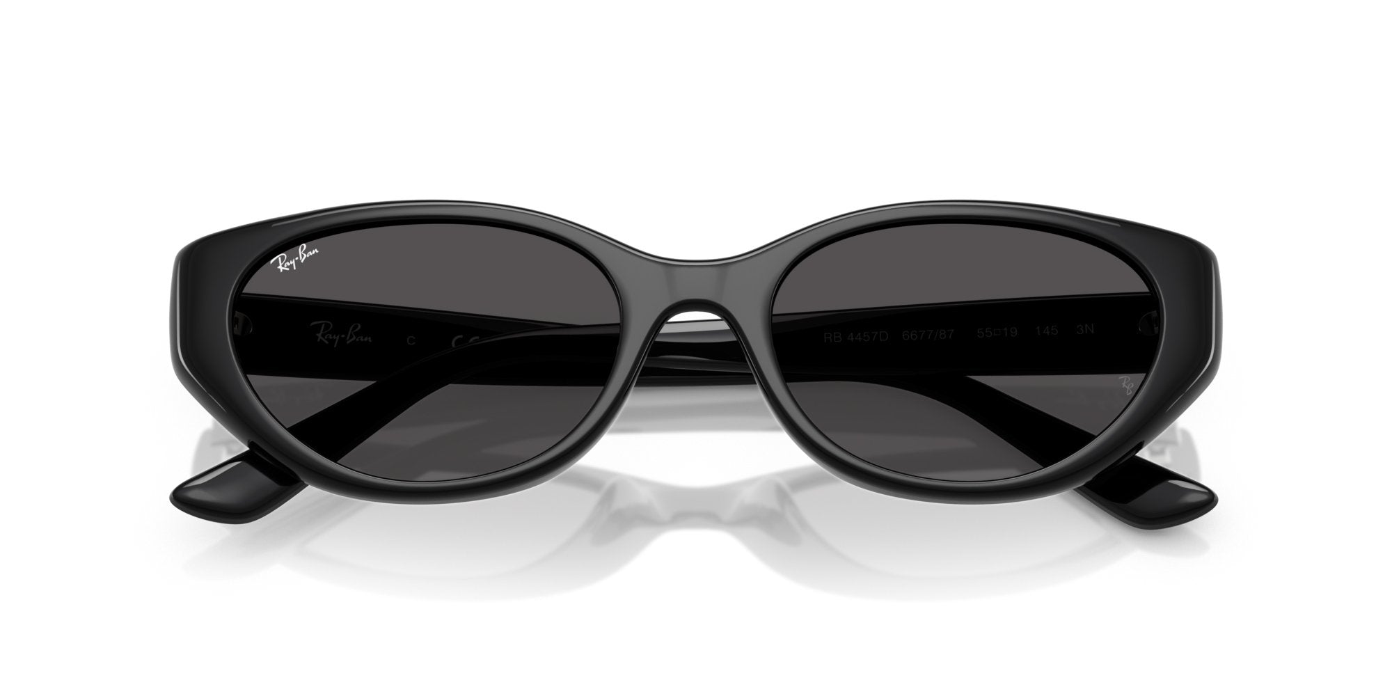 RAY-BAN RB4457D 667787