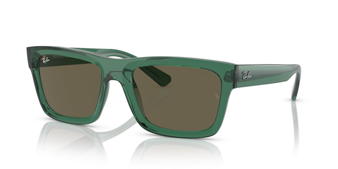RAY-BAN WARREN RB4396 6681/3