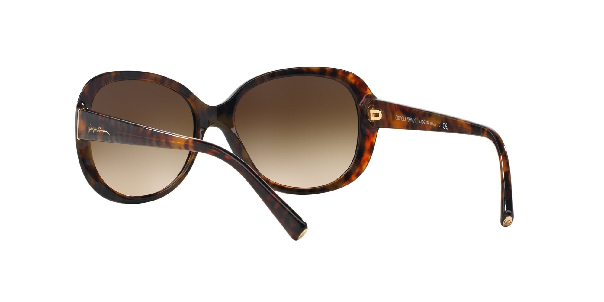 GIORGIO ARMANI AR8047 504913
