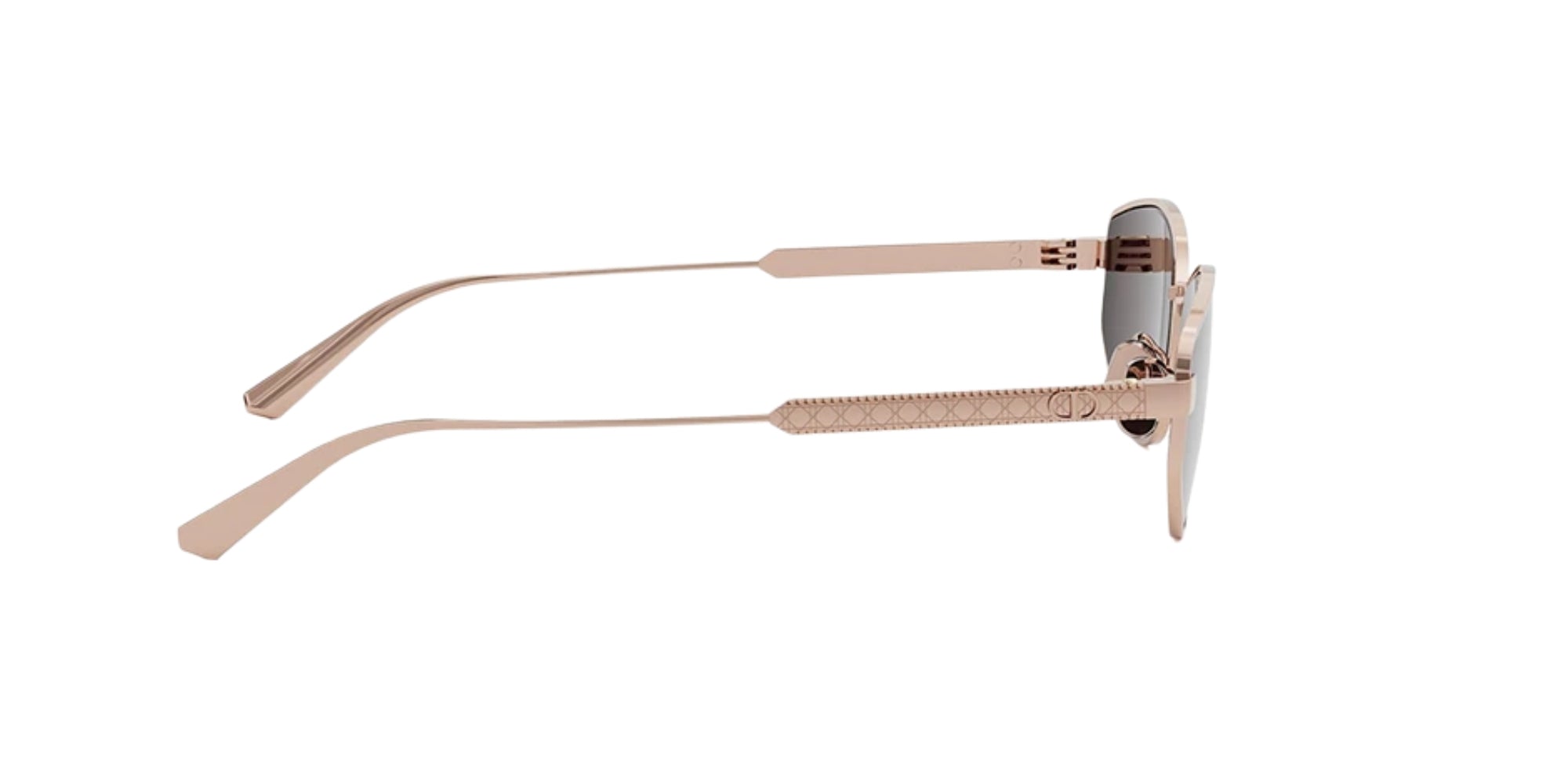 Dior DIORCANNAGE B1U D0D0