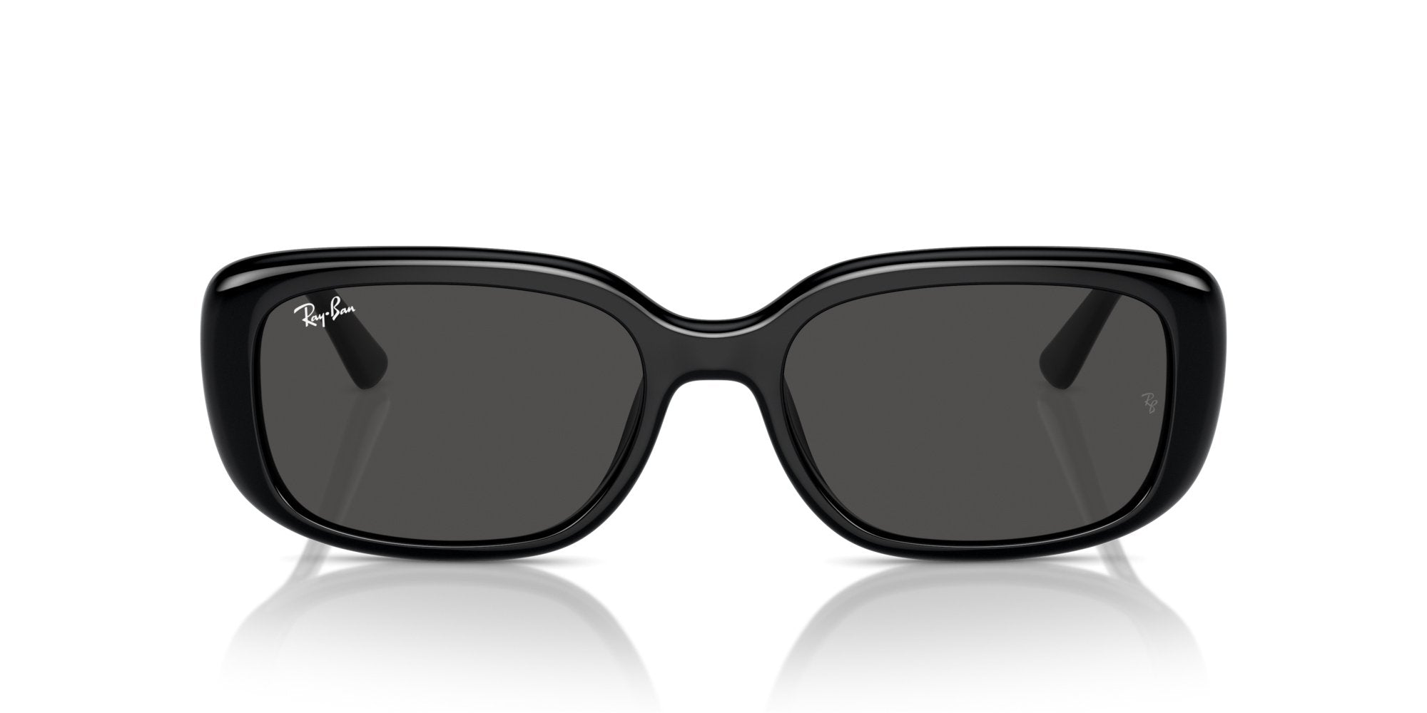 RAY-BAN RB4421D 667787