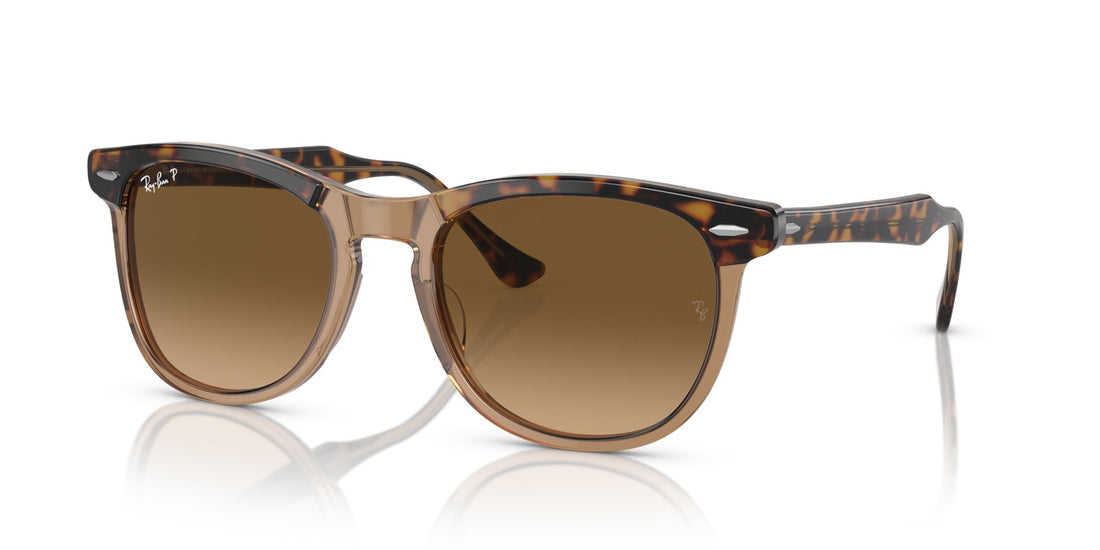 RAY-BAN EAGLEEYE RB2398 1292M2 Polarizzato