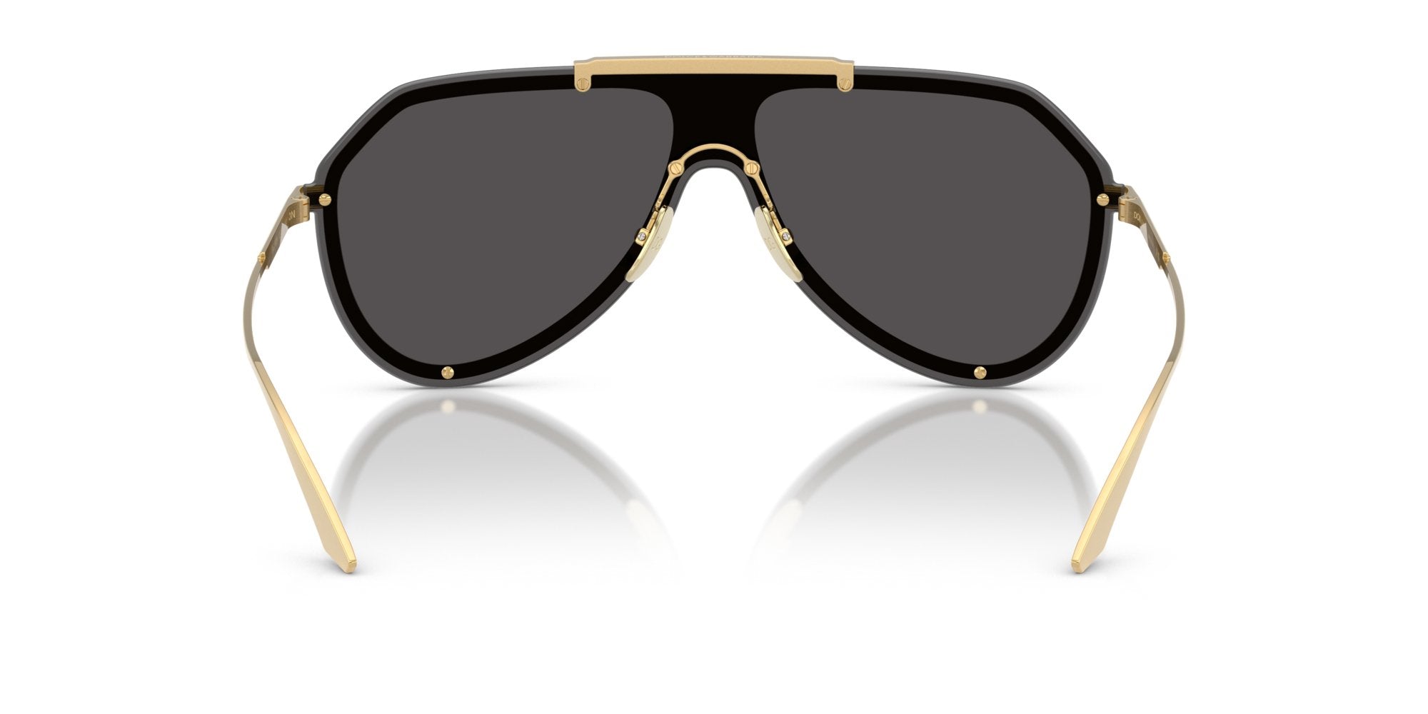 DOLCE & GABBANA DG2309 02/87