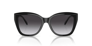 EMPORIO ARMANI EA4198 50178G