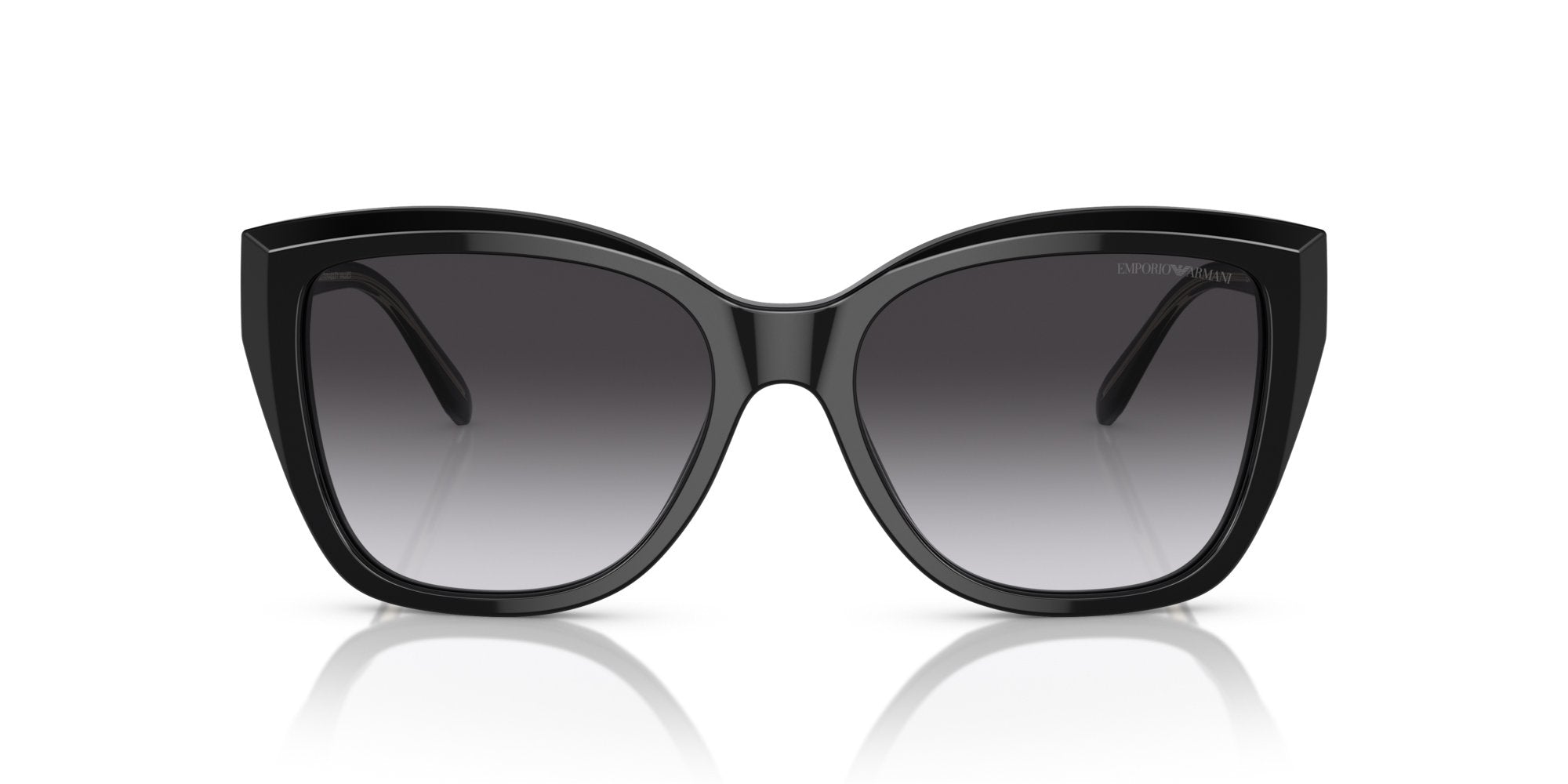 EMPORIO ARMANI EA4198 50178G