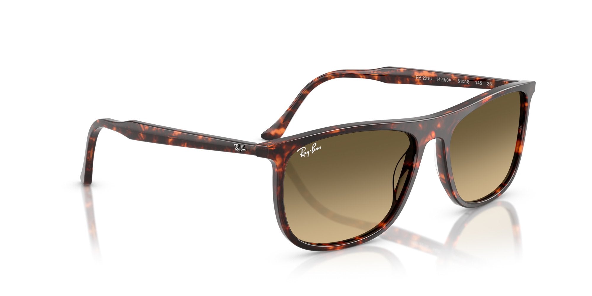 RAY-BAN RB2216 14290A