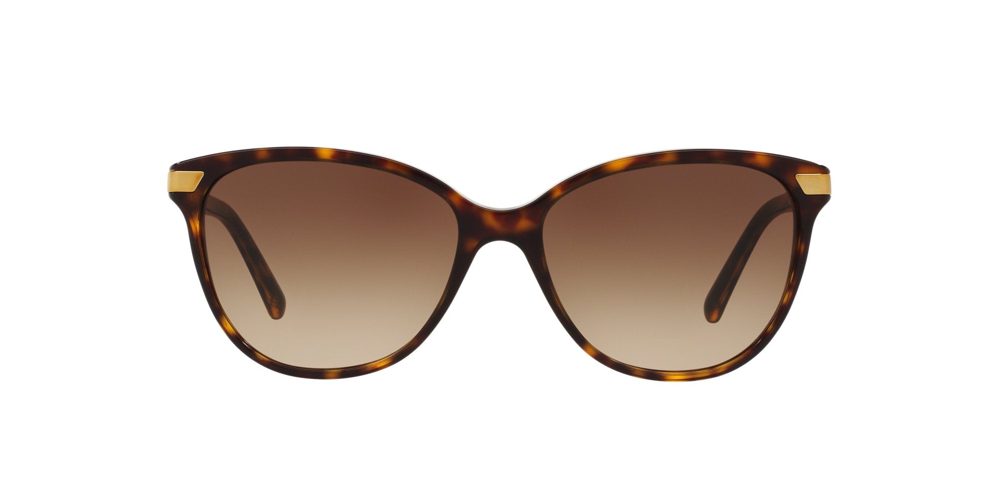 BURBERRY BE4216 300213