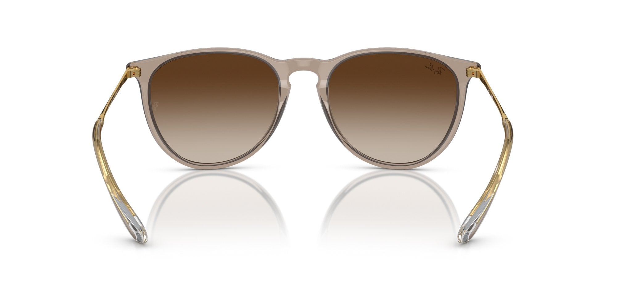 RAY-BAN ERIKA RB4171 674413