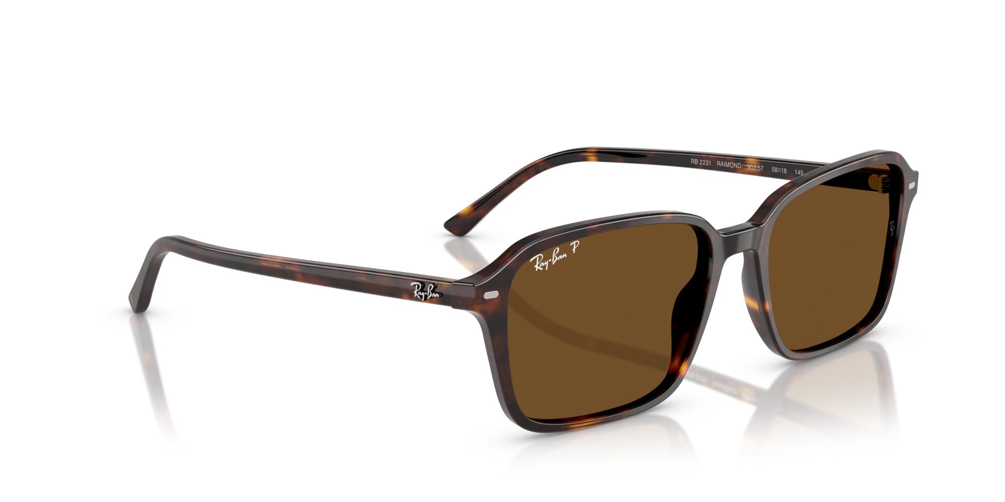 RAY-BAN RAIMOND RB2231 902/57 Polarizzato
