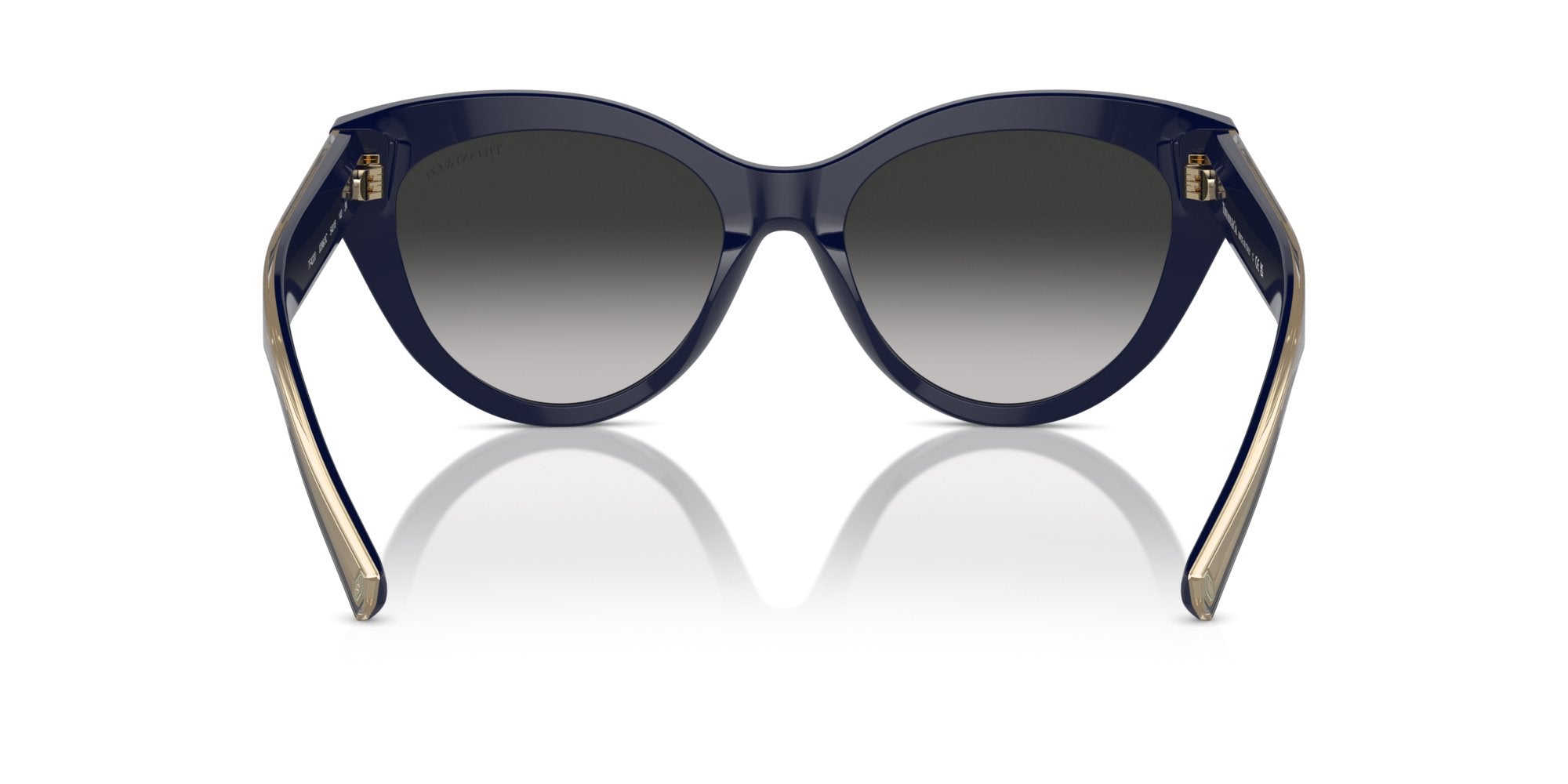 TIFFANY TF4220 83963C